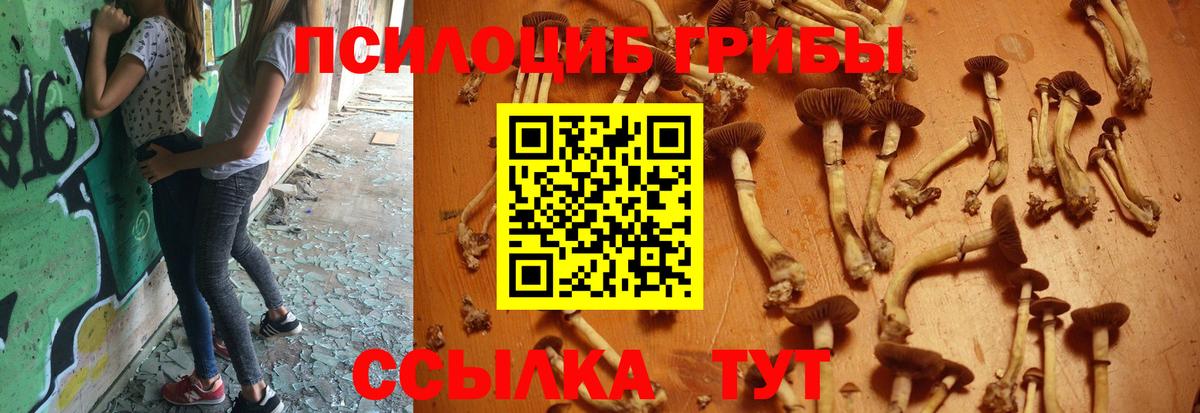 Галлюциногенные грибы ЛСД  Галлюциногенные грибы ЛСД  Ростов Великий  Вход с VPN 